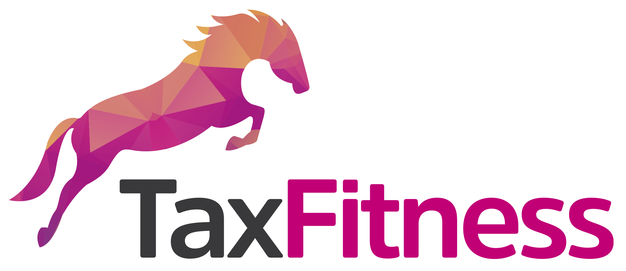 TaxFitness